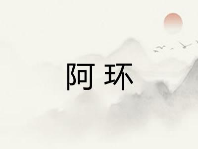 阿环 阿环