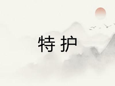 特护 特护