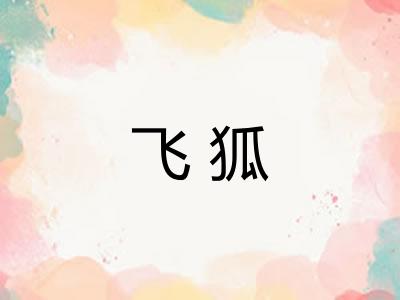 飞狐 飞狐