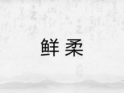 鲜柔 鲜柔