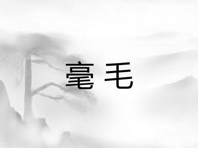 毫毛 毫毛