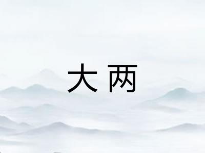 大两 大两