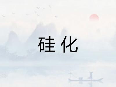 硅化 硅化
