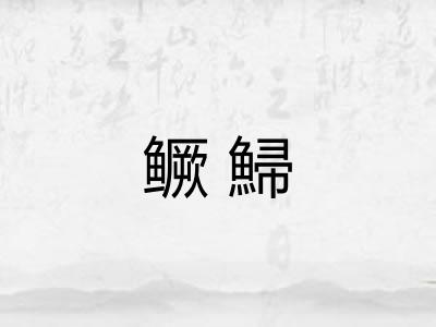 鳜鯞 鳜鯞