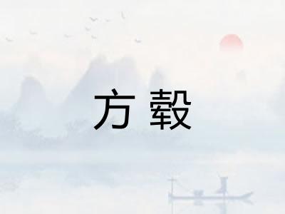 方毂