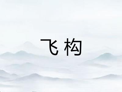 飞构 飞构