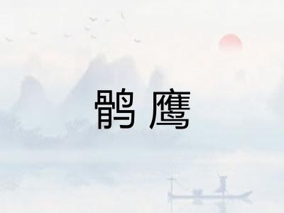 鹘鹰 鹘鹰