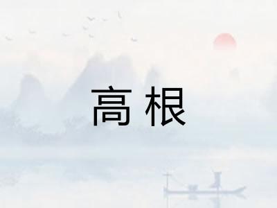 高根 高根