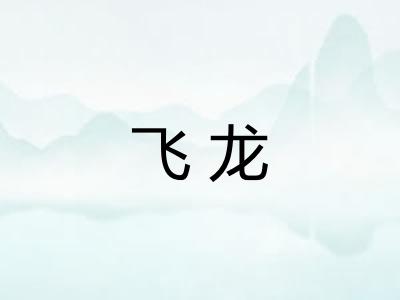 飞龙 飞龙