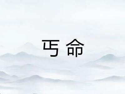 丐命