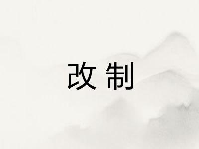 改制 改制