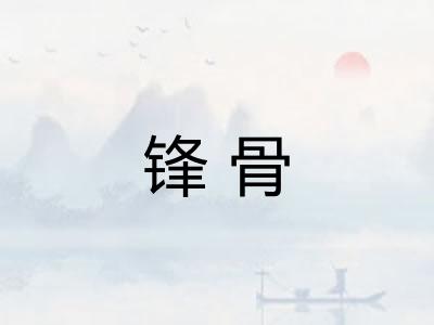 锋骨 锋骨