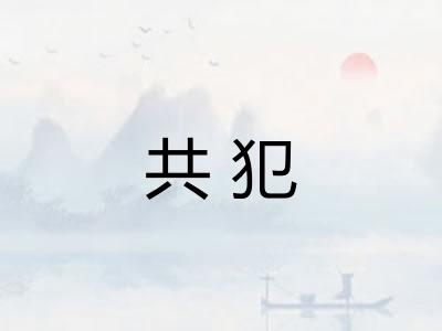 共犯 共犯