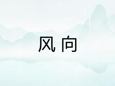 风向 风向