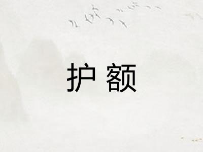护额 护额