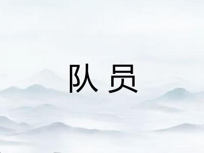 队员 队员