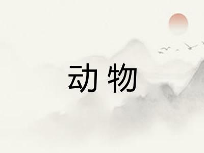 动物 动物
