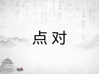 点对