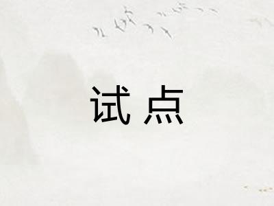 试点 试点