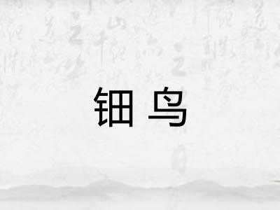 钿鸟 钿鸟