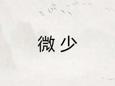 微少 微少