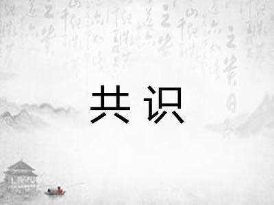 共识 共识