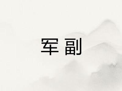 军副 军副