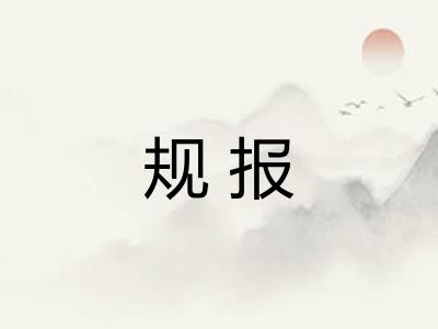 规报 规报