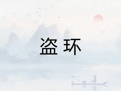 盗环