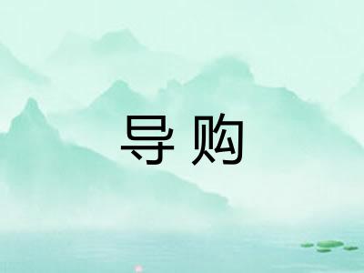 导购 导购