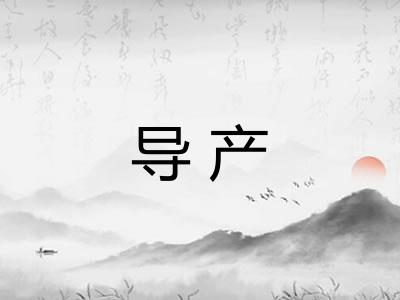 导产 导产