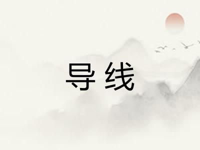 导线 导线