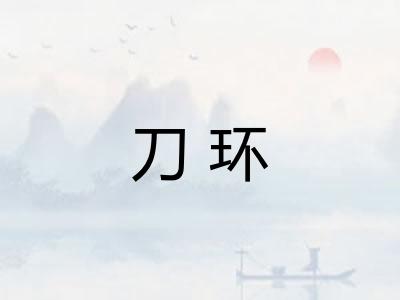 刀环 刀环