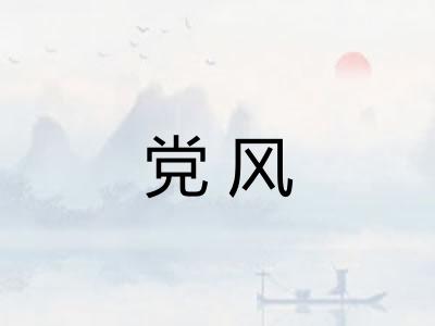 党风 党风