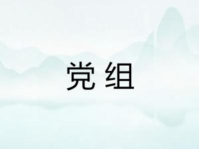 党组 党组