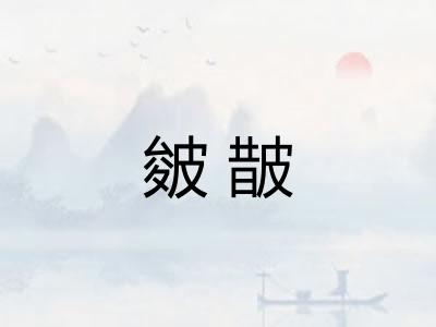 皴皵