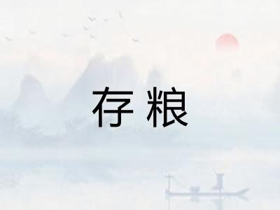 存粮 存粮