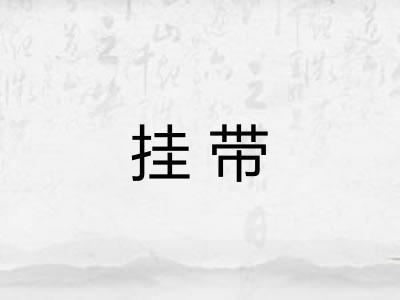挂带 挂带