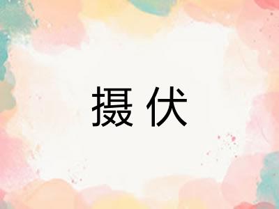 摄伏 摄伏