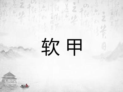 软甲 软甲