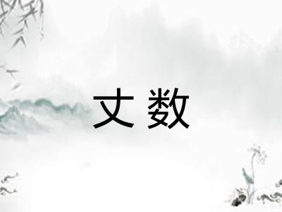 丈数 丈数