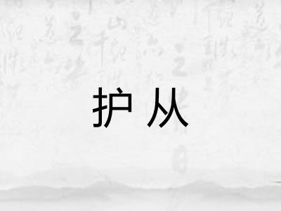 护从 护从