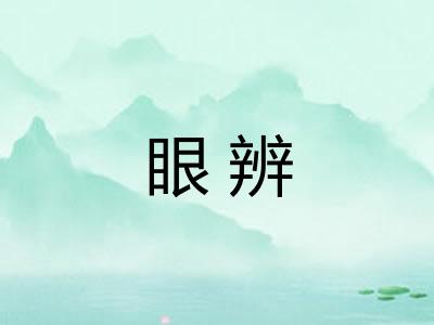 眼辨 眼辨