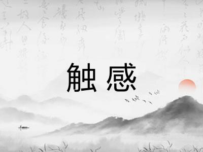 触感