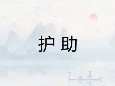 护助 护助