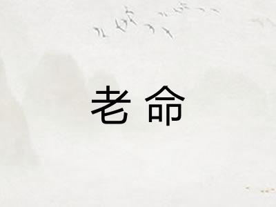 老命 老命
