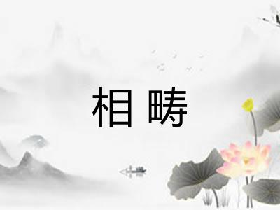 相畴 相畴