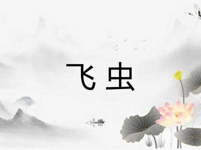 飞虫 飞虫