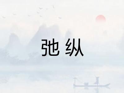 弛纵 弛纵