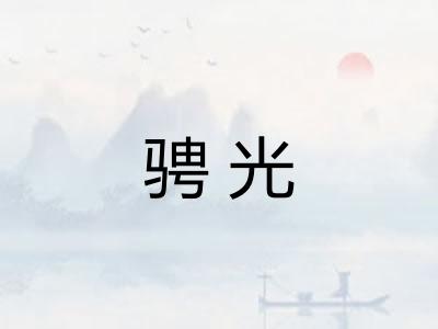 骋光